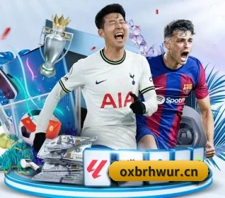 五个功能入口,赛程查询路径更短 | kaiyun.com